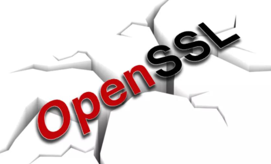 OpenSSL�����徲�������������޸���Ʒ�е�2���徲���.png