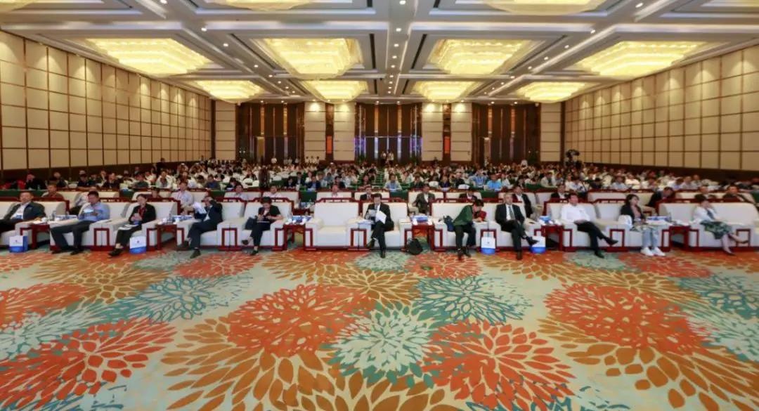 Z6��������ʱ���й������ٷ���վ