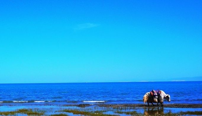 Z6��������ʱ���й������ٷ���վ