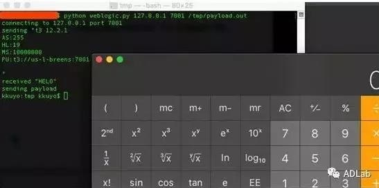 Z6��������ʱ���й������ٷ���վ