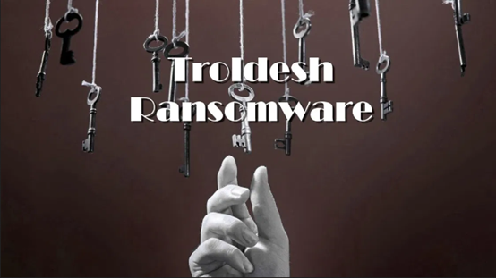 Z6��������ʱ���й������ٷ���վ